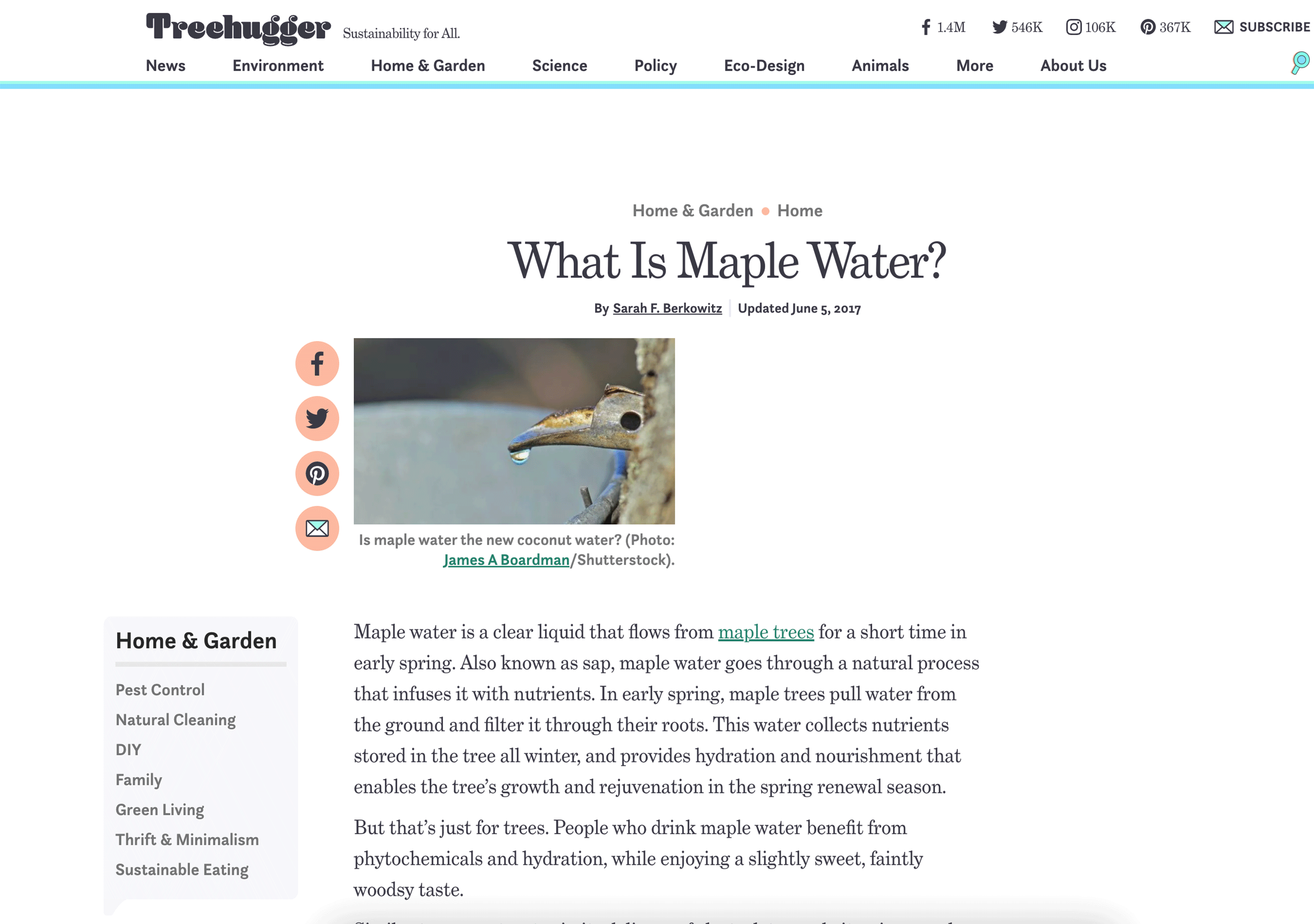 Maple water article